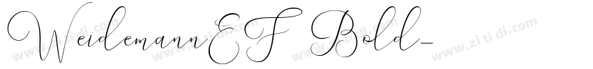 WeidemannEF Bold字体转换